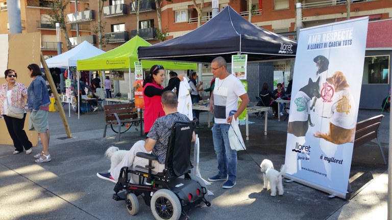 84 gossos i 47 gats s’han xipat i donat d’alta amb la campanya d’identificació gratuïta d’animals de companyia a Lloret