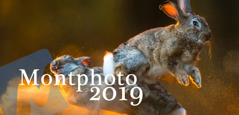 Arriba MontPhoto Fest 2019 a Lloret de Mar