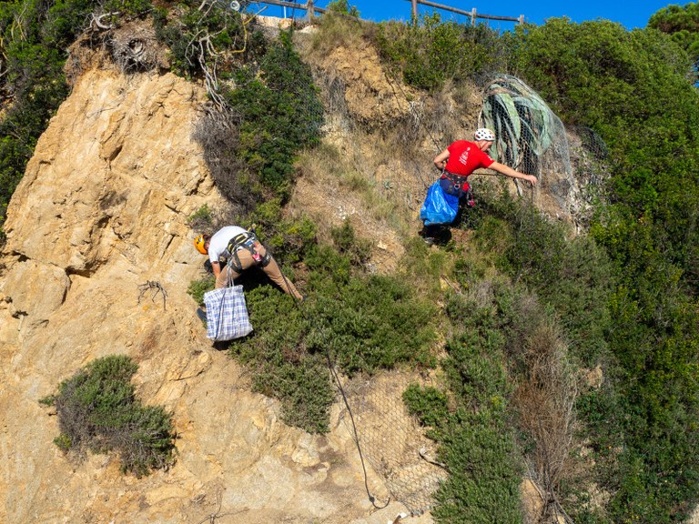 Finalitza la neteja dels penya segats en el tram de sa caleta d’en Trons i platja de sa Boadella de Lloret