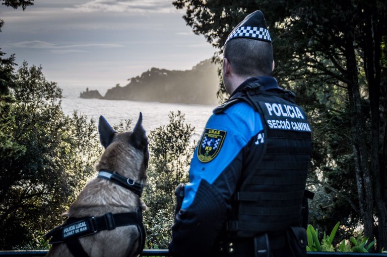 La Secció Canina de la Policia Local aquest 2017 ha trobat 530 grams de marihuana, 200 grams d’haixix, 80 dosis de cocaïna i 33 pastilles d’èxtasi i ha imposat 426 sancions