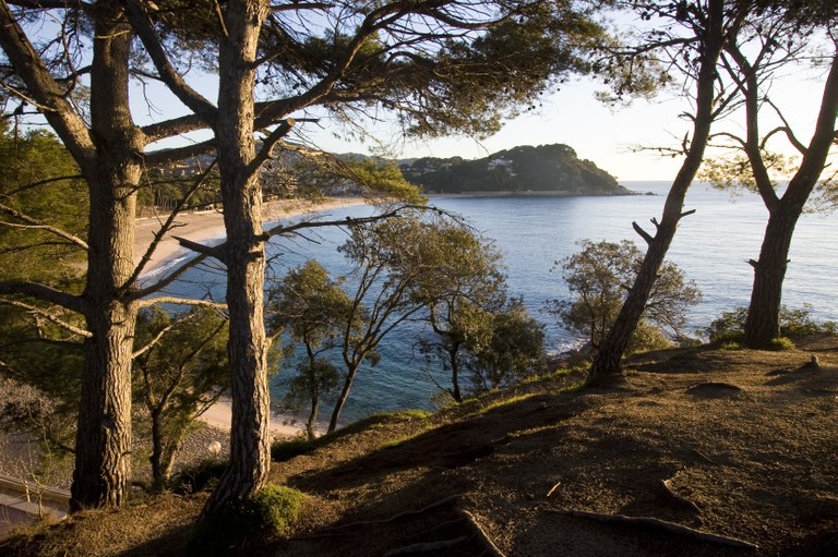 Lloret de Mar organitza una neteja popular del litoral de Fenals