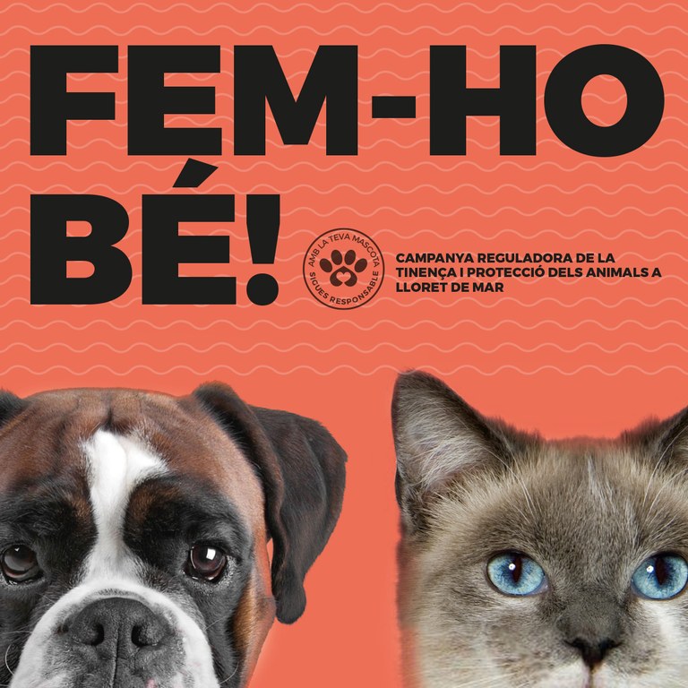 Una jornada canina dóna el tret de sortida a la campanya de tinença responsable d’animals de companyia “Fem-ho bé!”