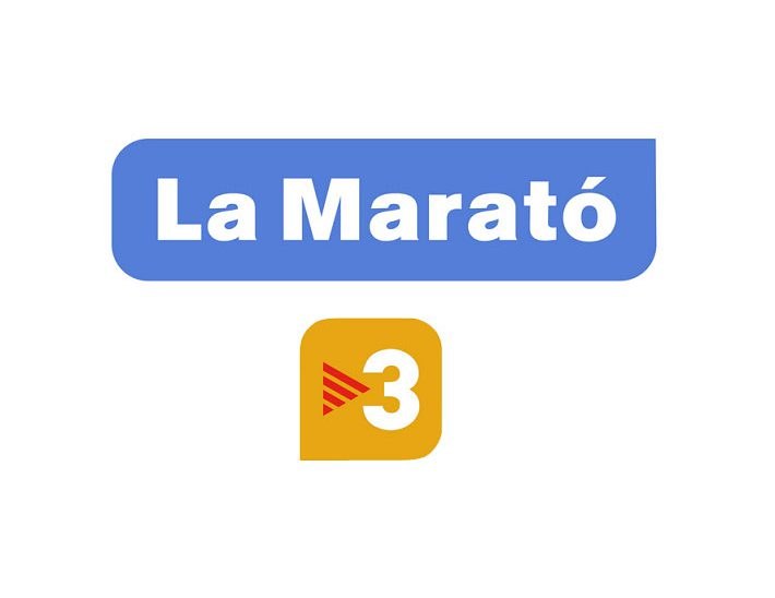 Marató de TV3: Mercat de Nadal 