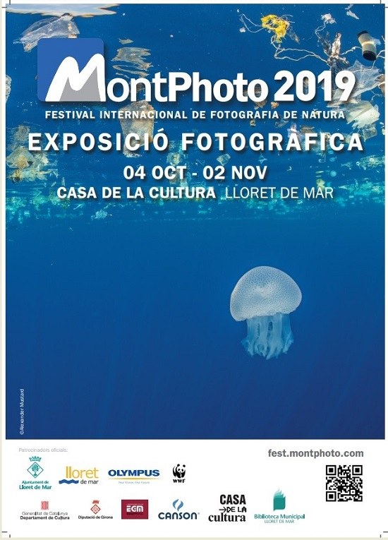 Exposició 'Montphoto'