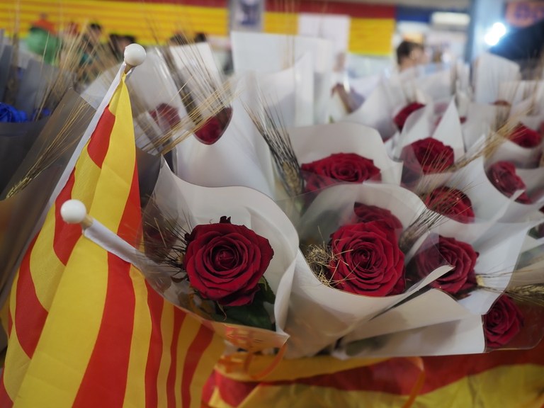 Diada de Sant Jordi