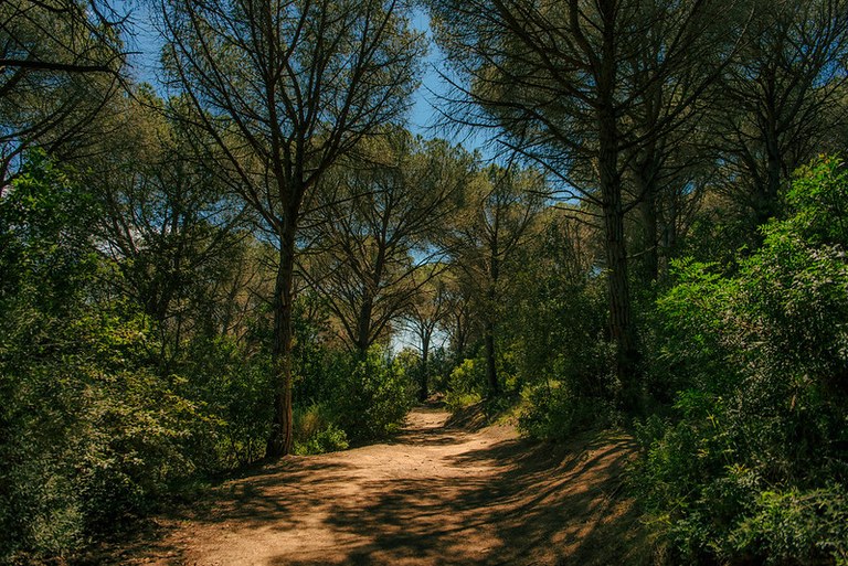 Taller familiar: La motxilla del bosc