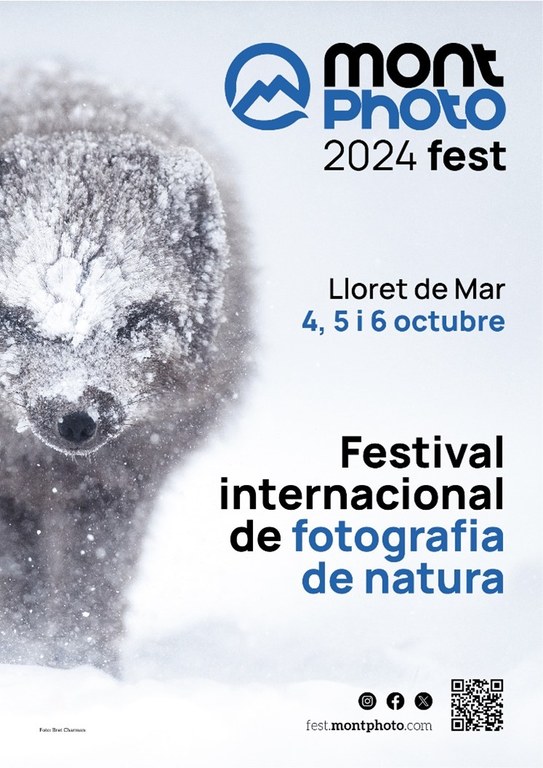 MontPhoto Fest 