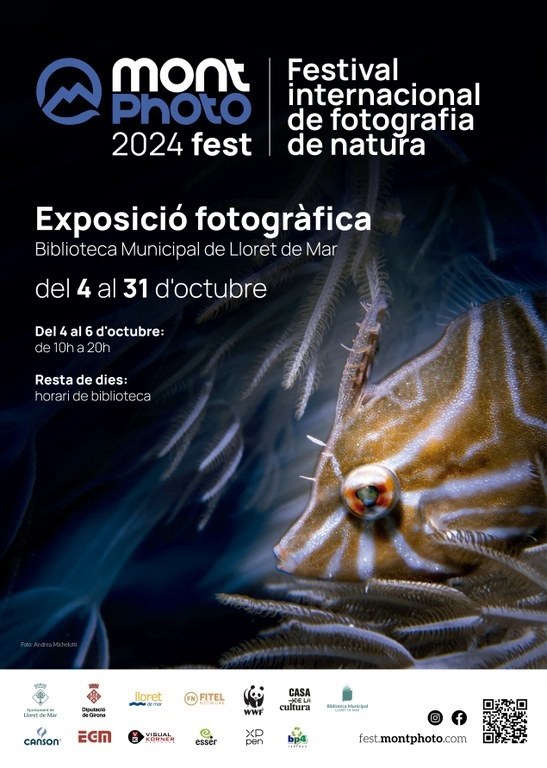 Exposició MontPhoto 2024