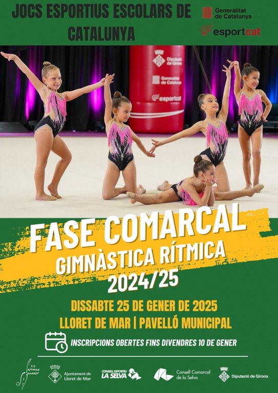 Fase Comarcal de Gimnàstica rítmica