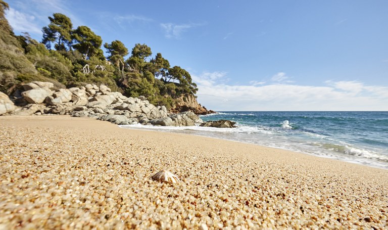 Sessió de Tai Chi & brunch a cala Sa Boadella