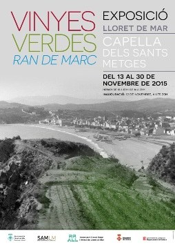 cartell exposicio vinyes verdes