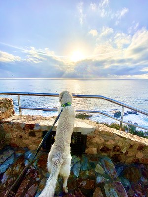 El Amanecer en Lloret 