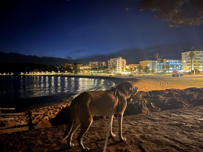 Kio en la playa