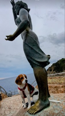 La gosa de la Dona Marinera