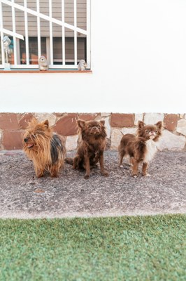  Mes 3 filles à la « Paquita « Lloret de Mar 