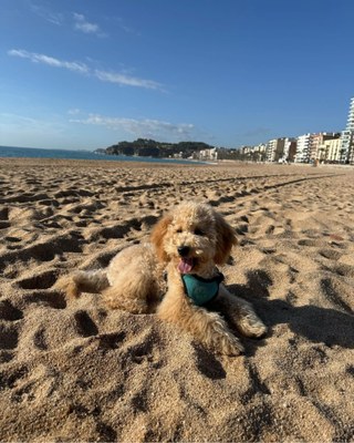 Soc igual que la platja de Lloret