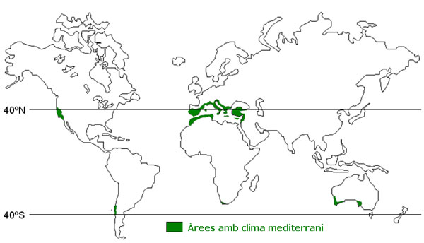 mapa flora