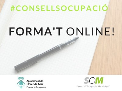 Consell Ocupacio 2 2