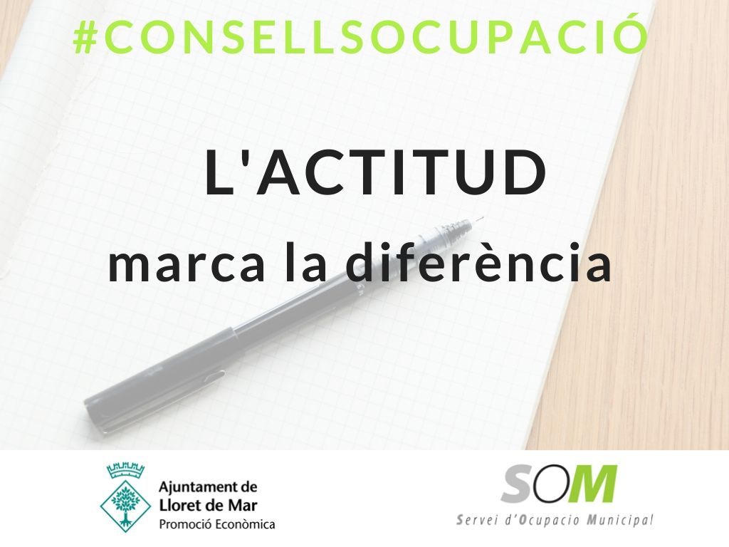 consell ocupacio4