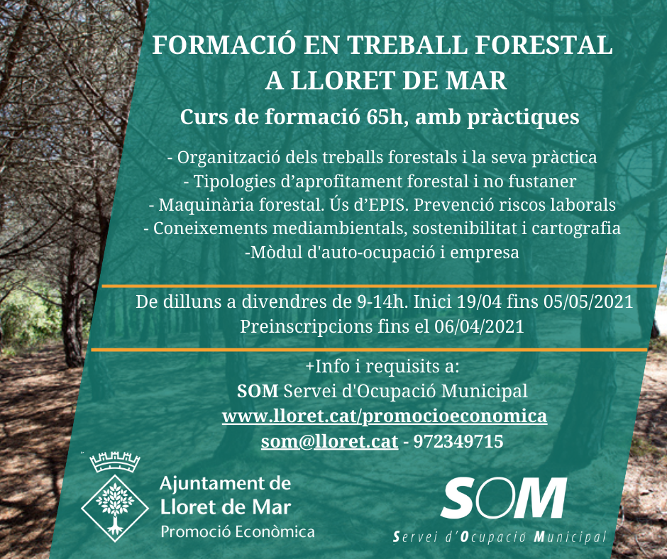 Forestal Web 2021 1