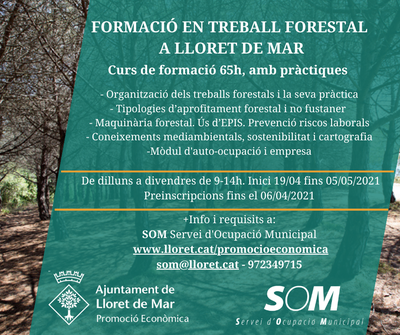 Forestal Web 2021 1