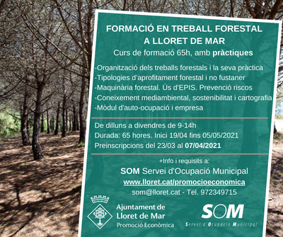 Forestal Web 2021