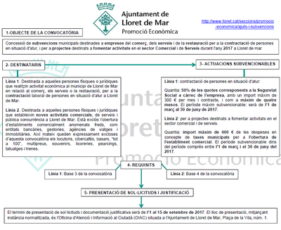 Esquema subvencio WEB