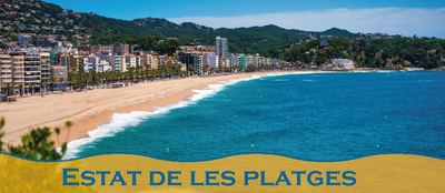 Estat de les platges