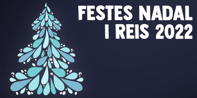 Festes de Nadal i Reis