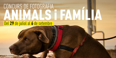 animals i familia